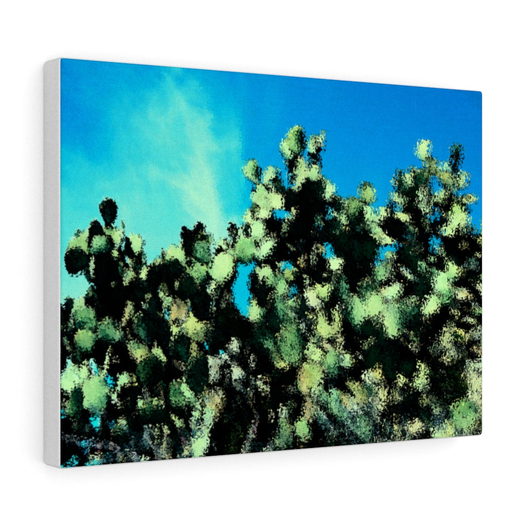 Catus