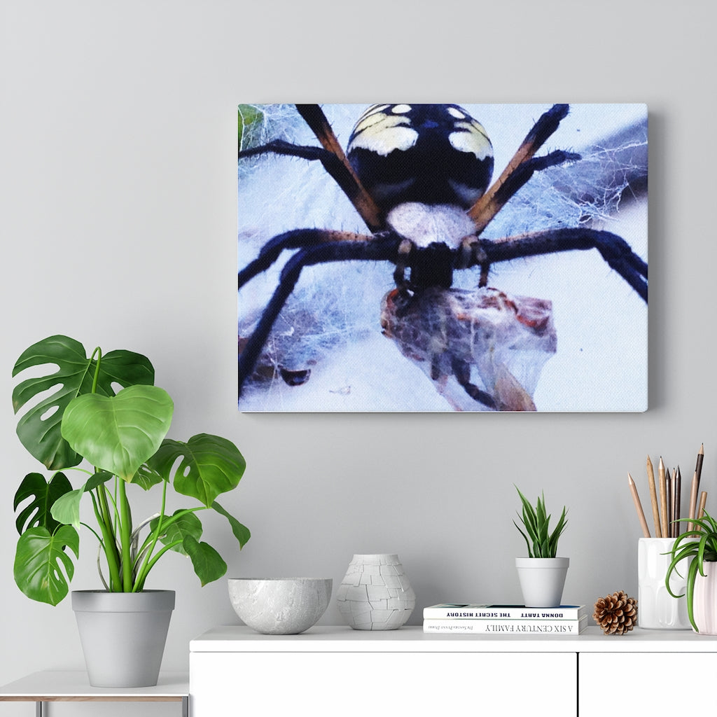 Spider