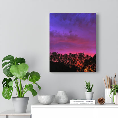 Sun set