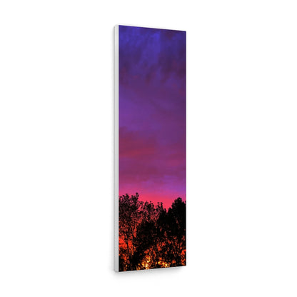 Sun set