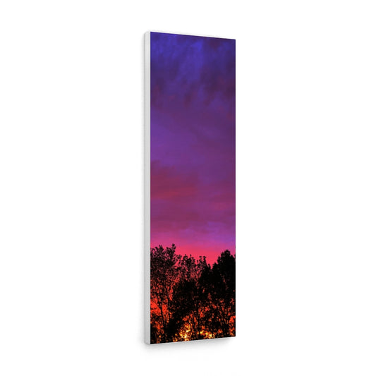 Sun set