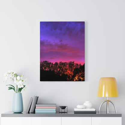 Sun set