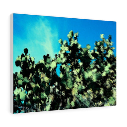 Catus