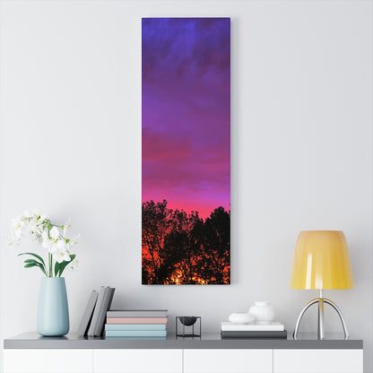 Sun set