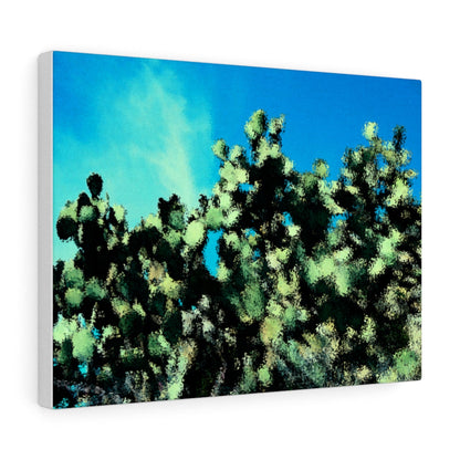 Catus