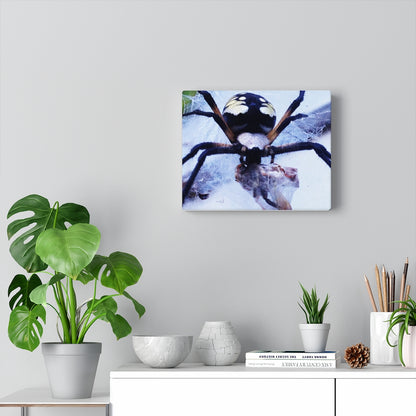 Spider
