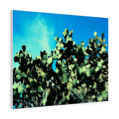 Catus